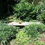 Bed & Breakfast Gaestehaus-staats