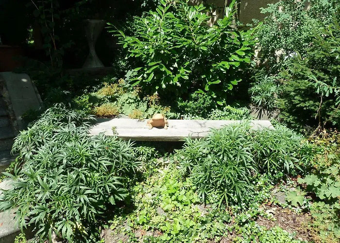 Oda ve Kahvaltı Gaestehaus-staats